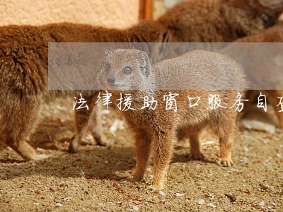 法律援助窗口服务自查自纠报告