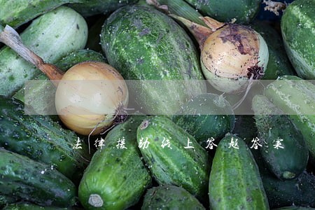 法律援助线上答题答案 法律援助线上答题答案