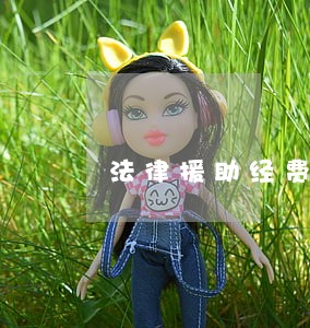法律援助经费审计案例 法律援助经费审计案例