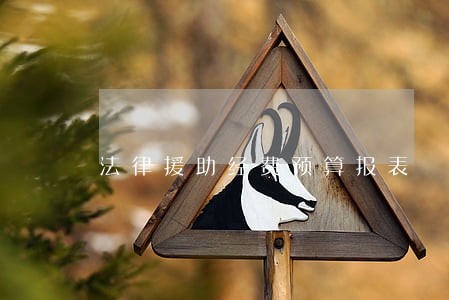 法律援助经费预算报表 法律援助经费预算报表