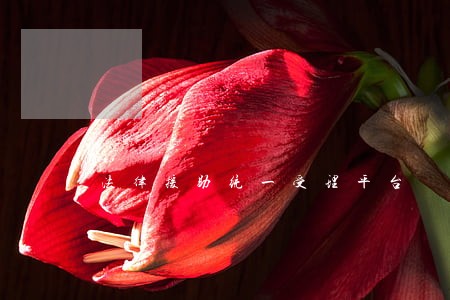 法律援助统一受理平台 法律援助统一受理平台
