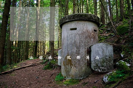 法律援助续辉简历 法律援助续辉简历