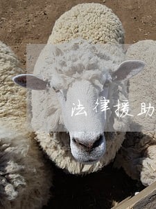 法律援助网络直播 法律援助网络直播