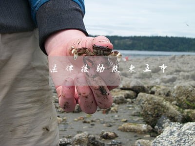 法律援助胶东五市 法律援助胶东五市
