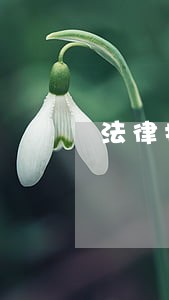 法律援助能不能当天受理 法律援助能不能当天受理
