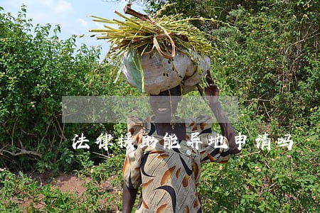 法律援助能异地申请吗 法律援助能异地申请吗