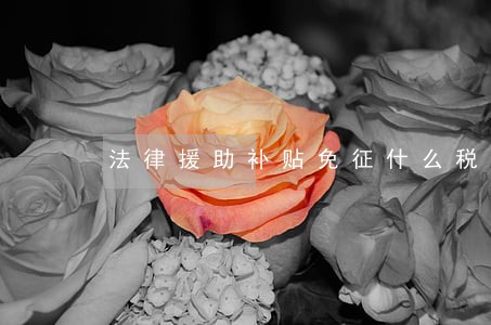 法律援助补贴免征什么税 法律援助补贴免征什么税