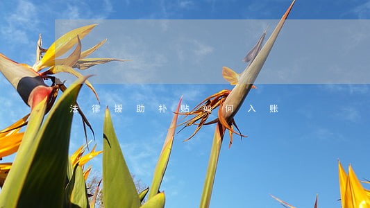 法律援助补贴如何入账 法律援助补贴如何入账