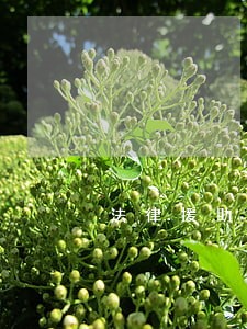 法律援助要钱吗 法律援助要钱吗
