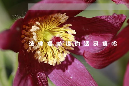 法律援助说的话可信吗 法律援助说的话可信吗