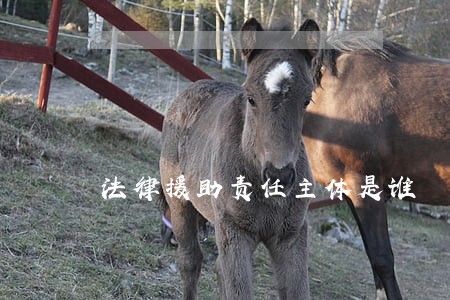 法律援助责任主体是谁 法律援助责任主体是谁