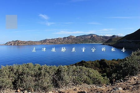 法律援助质量分析报告 法律援助质量分析报告