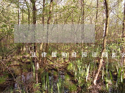 法律援助贫困证明怎么开 法律援助贫困证明怎么开