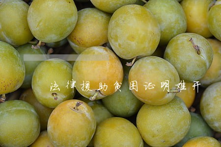法律援助贫困证明难开 法律援助贫困证明难开