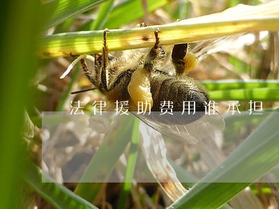 法律援助费用谁承担 法律援助费用谁承担