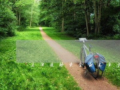 法律援助资金最高多少 法律援助资金最高多少
