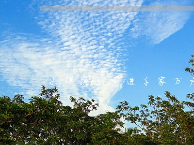 法律援助走进千家万户 法律援助走进千家万户