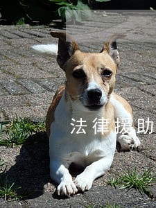 法律援助超燃混剪 法律援助超燃混剪