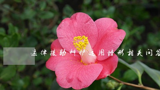 法律援助辩护适用情形相关问答 法律援助辩护适用情形相关问答
