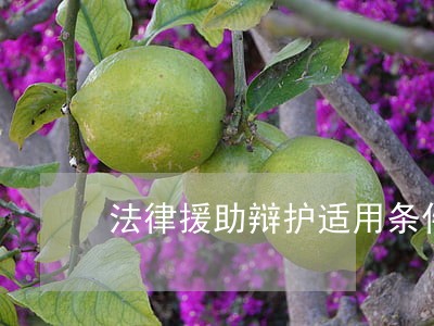 法律援助辩护适用条件 法律援助辩护适用条件