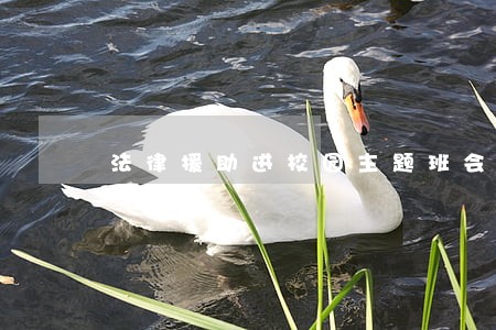 法律援助进校园主题班会 法律援助进校园主题班会