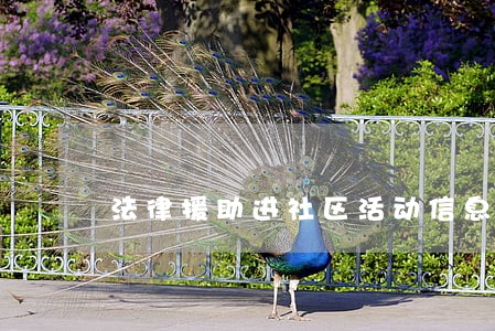 法律援助进社区活动信息 法律援助进社区活动信息
