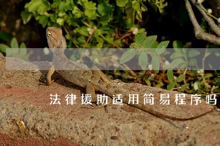 法律援助适用简易程序吗 法律援助适用简易程序吗