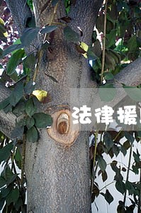 法律援助部门在什么地方 法律援助部门在什么地方