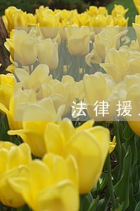 法律援助都有什么服务 法律援助都有什么服务