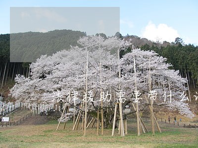 法律援助需要带什么证件 法律援助需要带什么证件