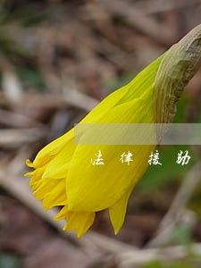 法律援助需要缴纳什么钱 法律援助需要缴纳什么钱