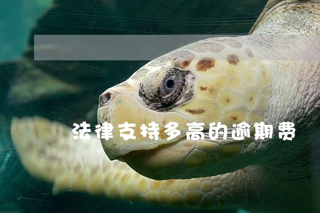 法律支持多高的逾期费 法律支持多高的逾期费