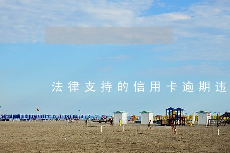 法律支持的信用卡逾期违约金