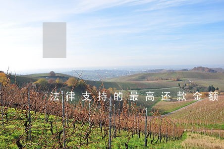 法律支持的最高还款金额是多少 法律支持的最高还款金额是多少