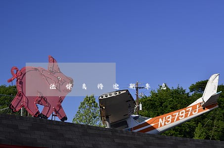 法律支持逾期年息 法律支持逾期年息