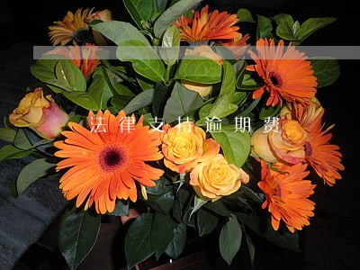 法律支持逾期费 法律支持逾期费