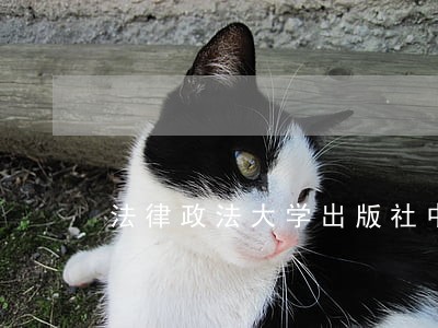 法律政法大学出版社中国青年出版社 法律政法大学出版社中国青年出版社