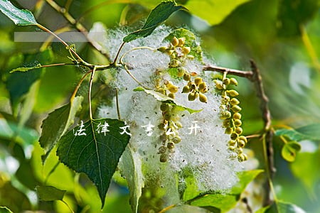 法律文书公开 法律文书公开