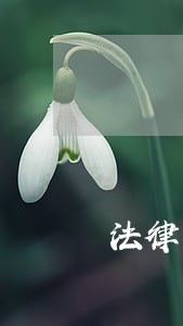 法律文书未列当事人诉讼地位 法律文书未列当事人诉讼地位