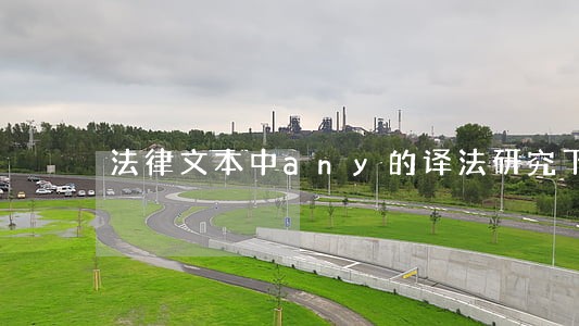 法律文本中any的译法研究下载 法律文本中any的译法研究下载