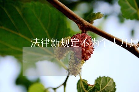 法律新规定不为个人开具任何证明 法律新规定不为个人开具任何证明