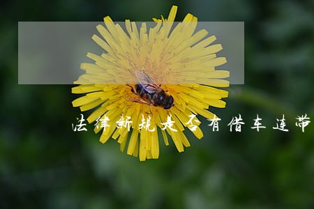 法律新规是否有借车连带罪 法律新规是否有借车连带罪