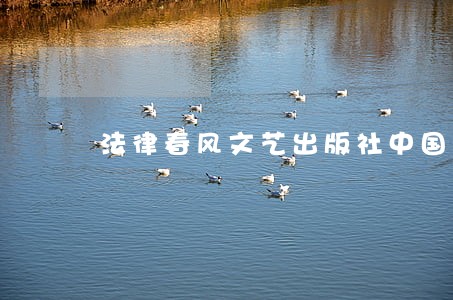 法律春风文艺出版社中国人口出版社 法律春风文艺出版社中国人口出版社