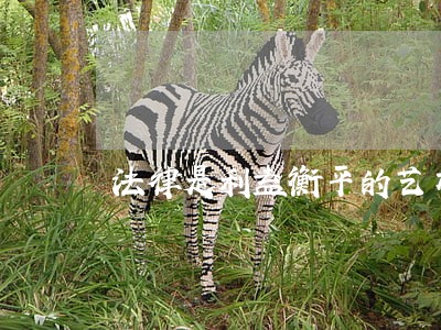 法律是利益衡平的艺术 法律是利益衡平的艺术
