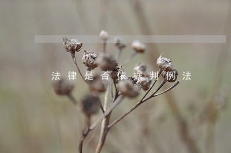 法律是否依据判例法 法律是否依据判例法