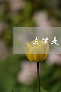 法律是否规定允许偷拍超速 法律是否规定允许偷拍超速