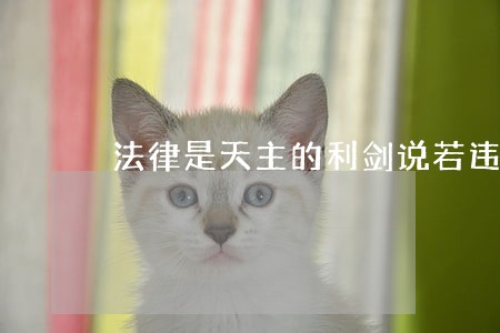 法律是天主的利剑说若违法