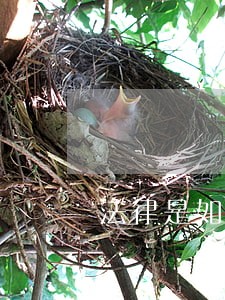 法律是如何判定死亡的 法律是如何判定死亡的