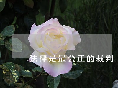 法律是最公正的裁判 法律是最公正的裁判