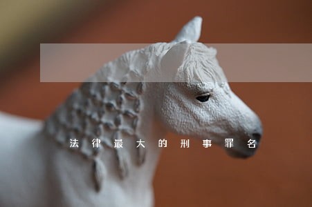 法律最大的刑事罪名 法律最大的刑事罪名